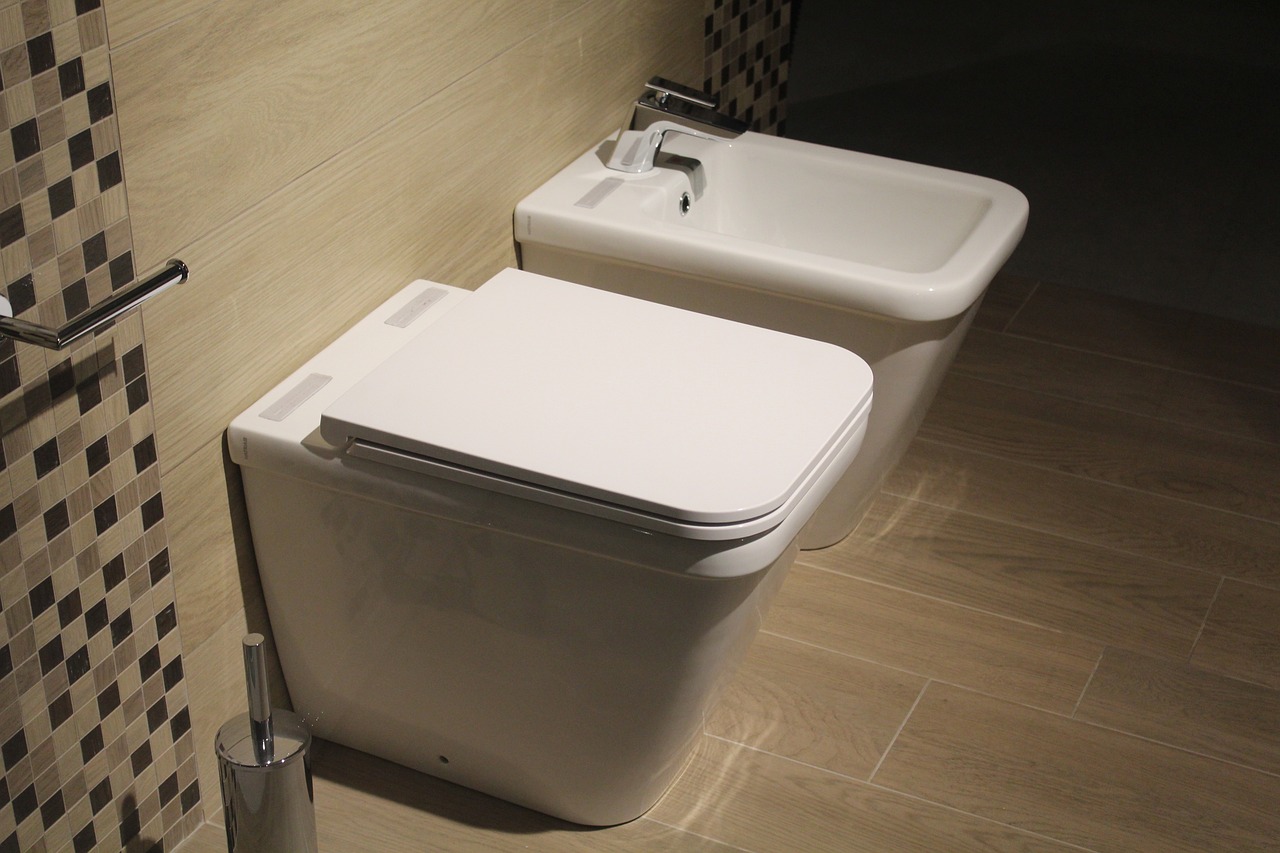 Modern bathroom with a toilet and bidet